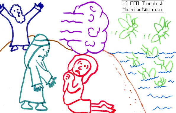 Click the picture to paint!